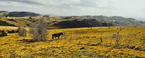 Pešterska visoravan pešačka tura