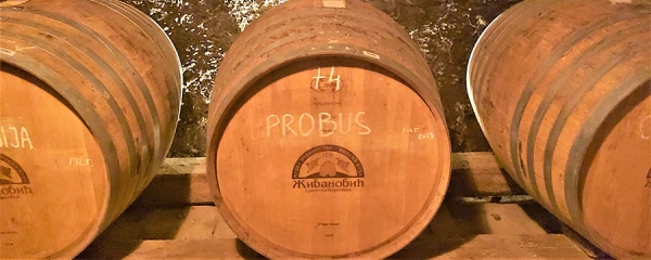 Vinske ture Srbija